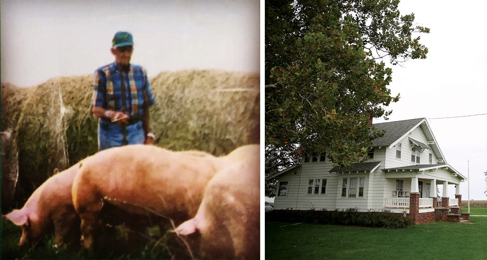 Older photos of the farm alt tag