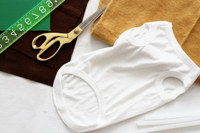 Start of the costume