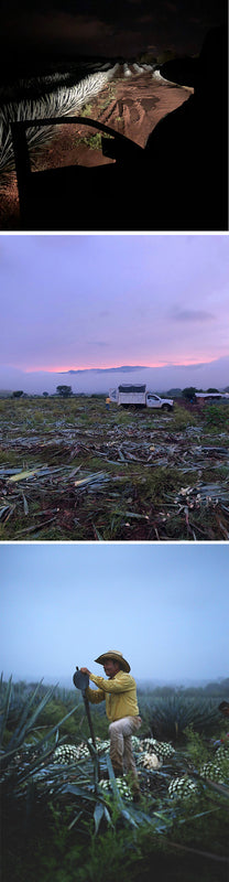 Looking out the car door