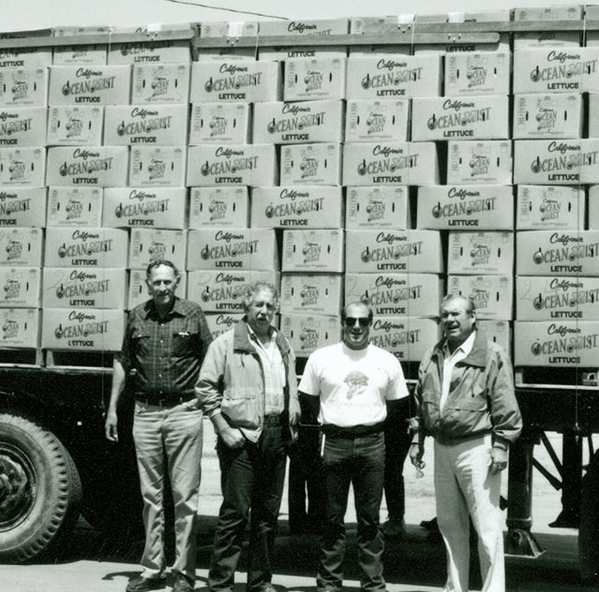 Artichokes: A Family Affair - LD.com